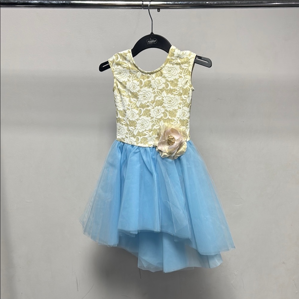 Elegant Lace and Tulle Ballet Dress